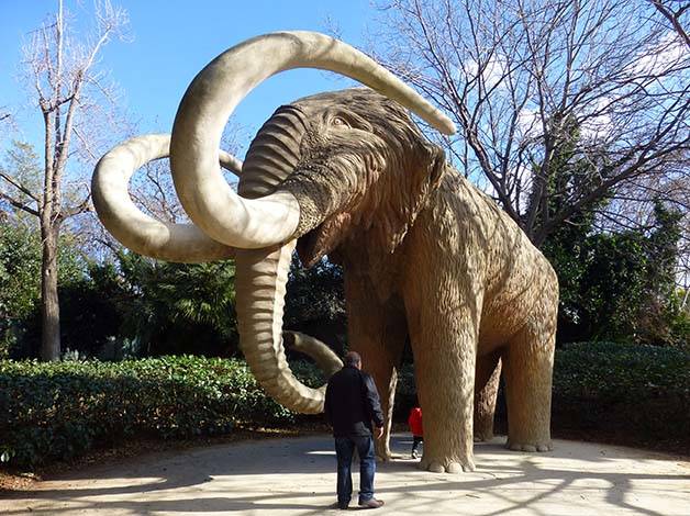 parc de la ciutadella mamut