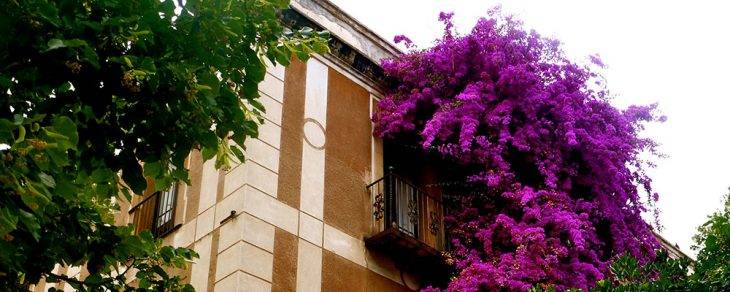 Sarrià edificio flores