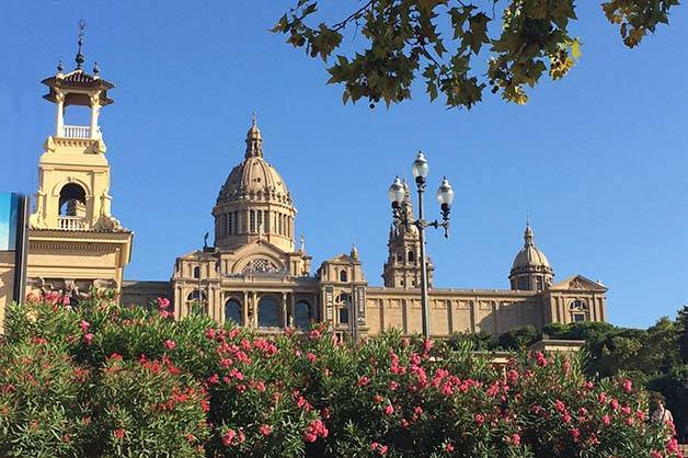 MNAC septiembre flores