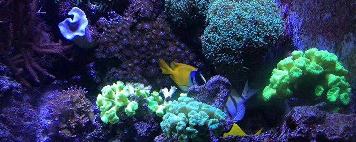 niños aquarium Barcelona