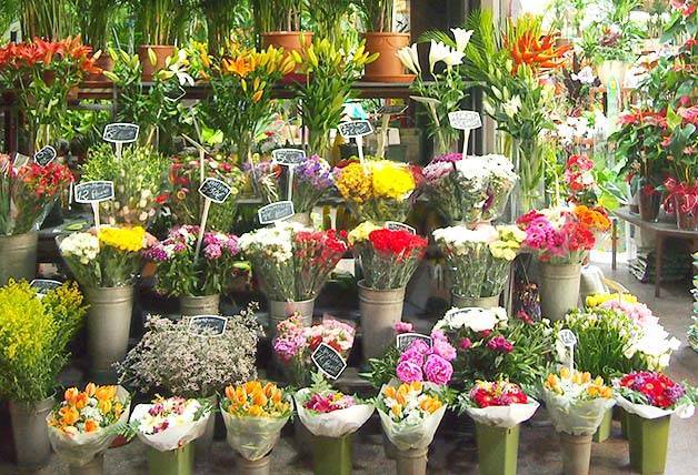 San Valentín Barcelona