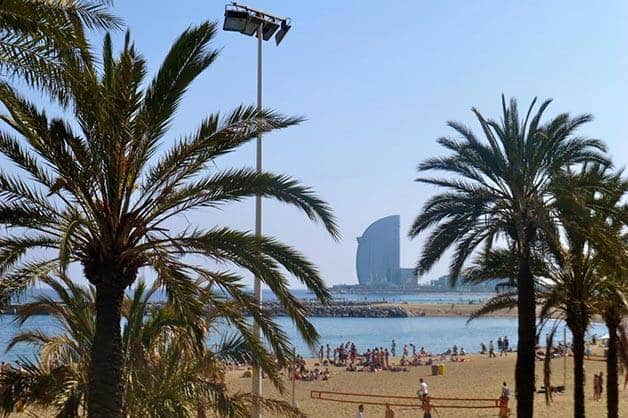 palmeras paseo marítimo Barcelona