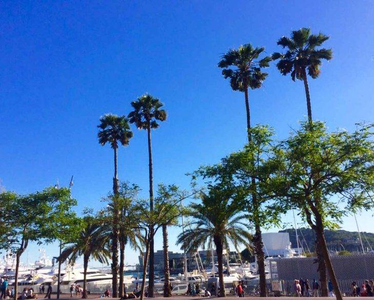 qué hacer en Barcelona: consejos