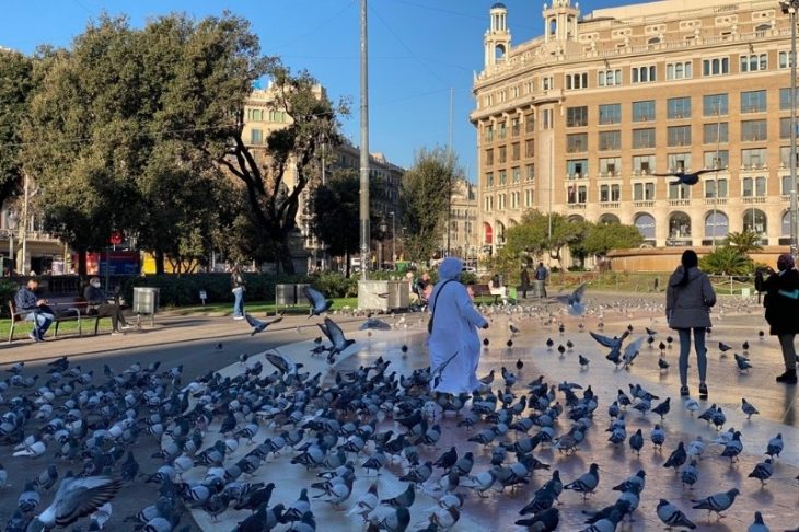 palomas plaza cataluña