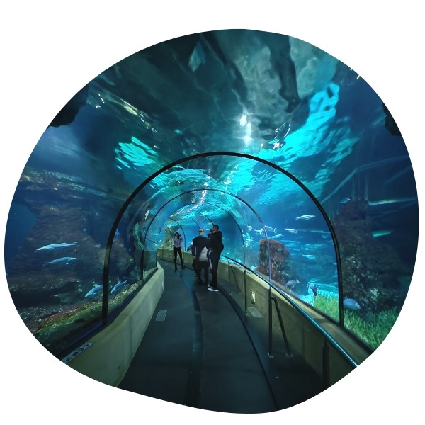aquarium barcelona homepage